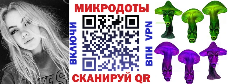 Псилоцибиновые грибы Psilocybine cubensis Невельск